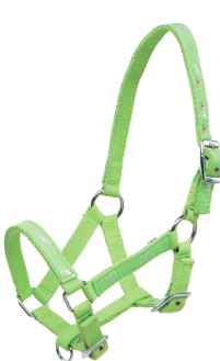 Onderlegd halster met paardenmotief